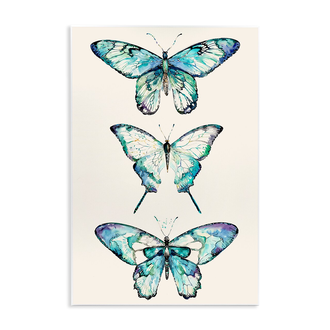 Stupell Industries Classic Butterfly Specimens Wall Plaque Art Design by Christine Zalewski